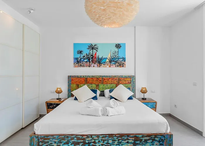 Medano4you The Cactus House