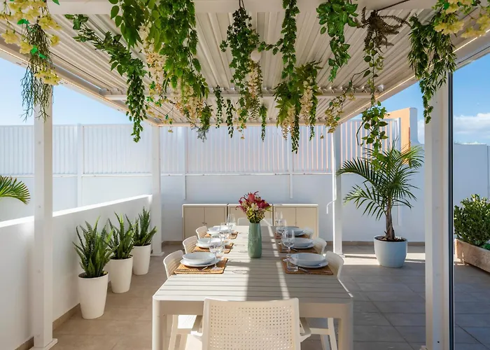 Medano4you The Cactus House