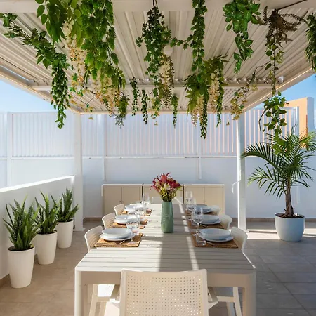Medano4you The Cactus House